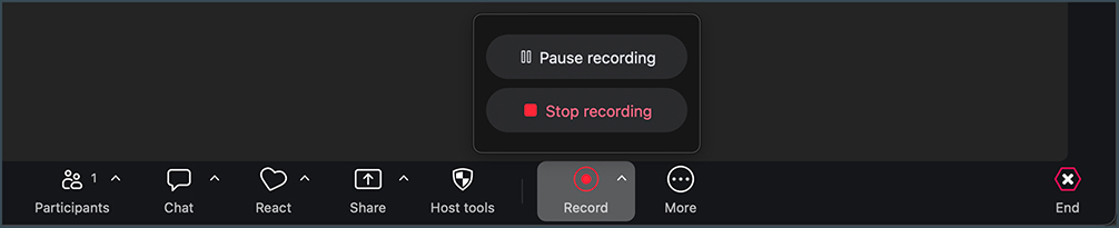 the pause and stop buttons during a recording.